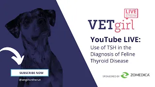 November 9, 2021: Use of TSH in the Diagnosis of Feline Thyroid Disease