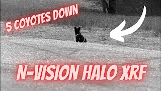 N-Vision Halo XRF Coyote Hunting | 5 Coyotes Down