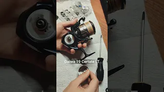 Daiwa 19 Certate LT. ТО и ремонт катушек в Казани