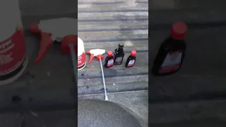 DIY Bear Bait Scent Spray