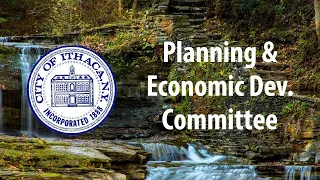 11-10-2021 Planning and Economic Development Committee Meeting