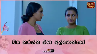 බය කරන්න එපා අල්පොන්සෝ