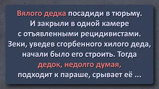 Анекдот на Завтрак! Вялый дедок в одной камере с Отморозками!