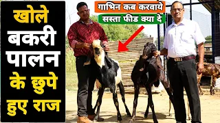 किसानो के लिए महत्पूर्ण जानकारी बकरी पालन के बारे में  | Chaudhary Comercial Goat Farming In India