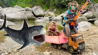 Best moments! Little monkey Bim Bim meets a shark | Full version