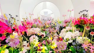 NYC Macy's Flower Show Highlights Full of Beautiful Flowers!