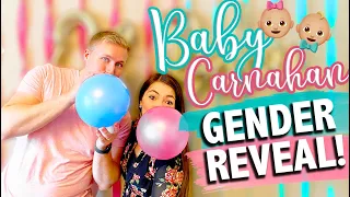 SNEAK PEEK GENDER REVEAL | Early Gender DNA Test Results | Rainbow Baby Gender | The Carnahan Fam