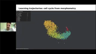 Interpretable Machine Learning to Model Drug Perturbations in Single Cell Genomics