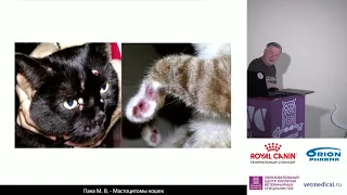 Пака М. В. - Мастоцитомы кошек