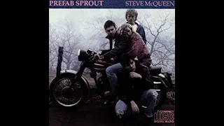 Prefab Sprout Desire As Acoustic cover