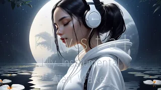 lily instrumental Alan Walker (slowed remix)