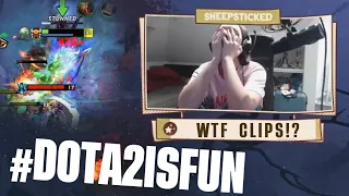 Sheepsticked WTF moments 2