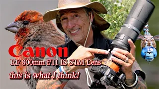What do I think of the Canon 800mm F11 lens? Well......? Lets go shoot a 1000+ photos and find out!