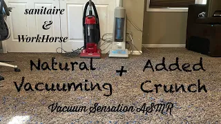 Sanitaire Vacuum & Workhorse Vacuum | Natural Vacuuming + BIG MESS TEST! 🤤