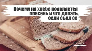 Почему на хлебе появляется плесень и что делать, если съел ее?