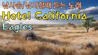 Hotel California - eagles (호텔 캘리포니아-이글스) /가사, 가사번역