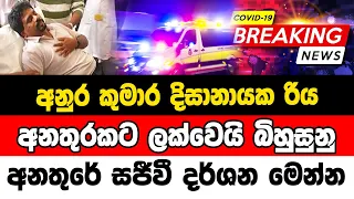 Breaking News | A special news reported about Anura Kumara Dissanayake  Hiru news