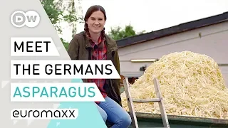Asparagus: A love poem for Germany's favorite vegetable | Meet the Germans