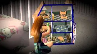 widescreen or fullscreen test (sims2)