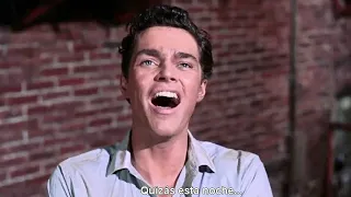 Something's Coming-West Side Story (1961) Richard Beymer, Jimmy Bryant sings.