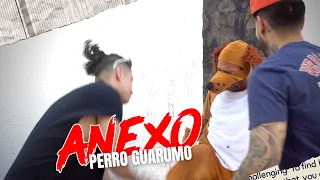 Anexo "Perro Guarumo" / Christian Meza