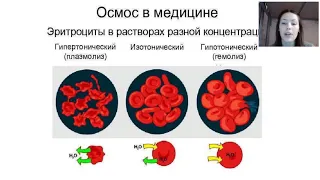 МГ Веб 3 "Осмос . Плазмолиз. Типы питания. Метаболизм."