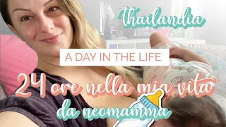 🍼24 ore nella mia vita privata con una neonata in Thailandia 🇹🇭 A day in the life