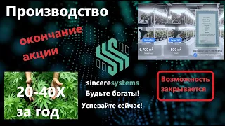 S Group Производство продажа акций заканчивается