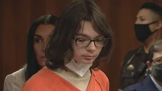 VIDEO | Ethan Crumbley, Michigan teen, pleads guilty to killing 4 in school shooting