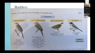 2023 Bird ID session 3