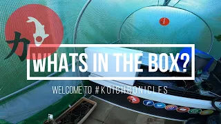 Koi Chronicles ***What's in the box*** unboxing walk trough the parcel is it Fish or Filter??