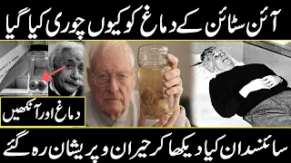 How Albert Einstein Brain Is Really Different Than Others in Urdu Hindi | Urdu Cover