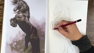 Draw a horse in pencil - horse by Tony O Conner