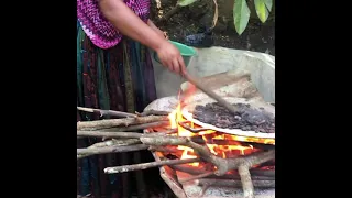 Mayan Chocolate Making Classes Deep in the Guatemala Jungle