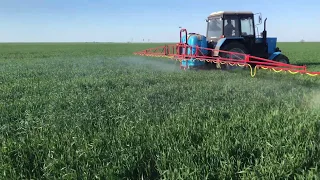 Печальная пшеница,вносим гербицид,29апреля 2020 г.