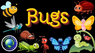 Wonder World Sensory - BUGS! Baby sensory video for learning vibrant colors and high contrast video.