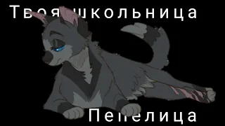 коты-воители клип/Пепелица/Твоя школьница/Ч. О.