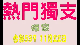 【今彩539神算】11月22日 上期中01 08 38 今彩539 熱門獨支