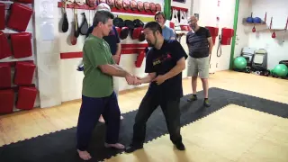 Positive Circle in Taijiquan  (Australia Workshop)