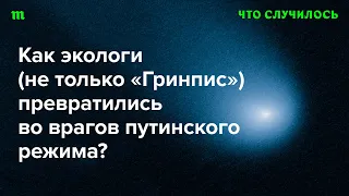 Как Путин сперва хвалил «Гринпис», а потом экологи стали «нежелательными» в РФ?