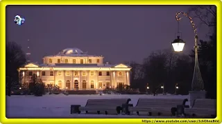 🔴 Winter in Elagin Island • St.Petersburg | Russia • Зима - Санкт-Петербург • SQUIRREL