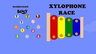 BLUEY  "Xylophone Race" Marble Race