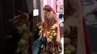 BRIDE LOVE HIS DOG AT WEDDING | OWNERS LOVE THEIR DOGS | DOG ENJOY WEDDING WITH OWNER