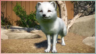 Cutest Arctic Fox Animation | Planet Zoo