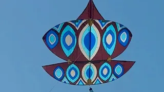 20 githi beauty by big boss gang bsant in Gujranwala 2024  #kiteflying #bigbosss #kite #kitefestival