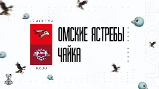 23.04.2023. «Омские Ястребы» – «Чайка» | (Финал Кубка Харламова) – Прямая трансляция