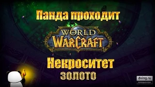 Панда проходит: Некроситет (World of Warcraft)