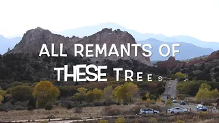 Biblical Tree Remains, Garden of the gods and Assyrian