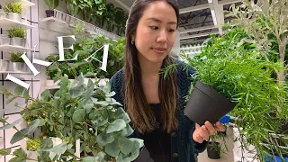 Which IKEA Fake Plants Look the Most REAL?! Shop w/ Me🪴