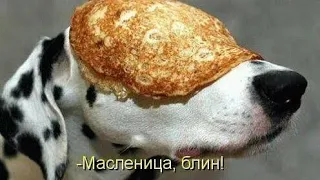 #юмор #масленица #блины #муж и #жена 😁😁😁